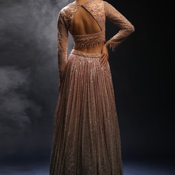 Peach And Silver Ombre Lehenga Embellished In Sequins And Hand Embroidered Choli - Picture 3 of 6